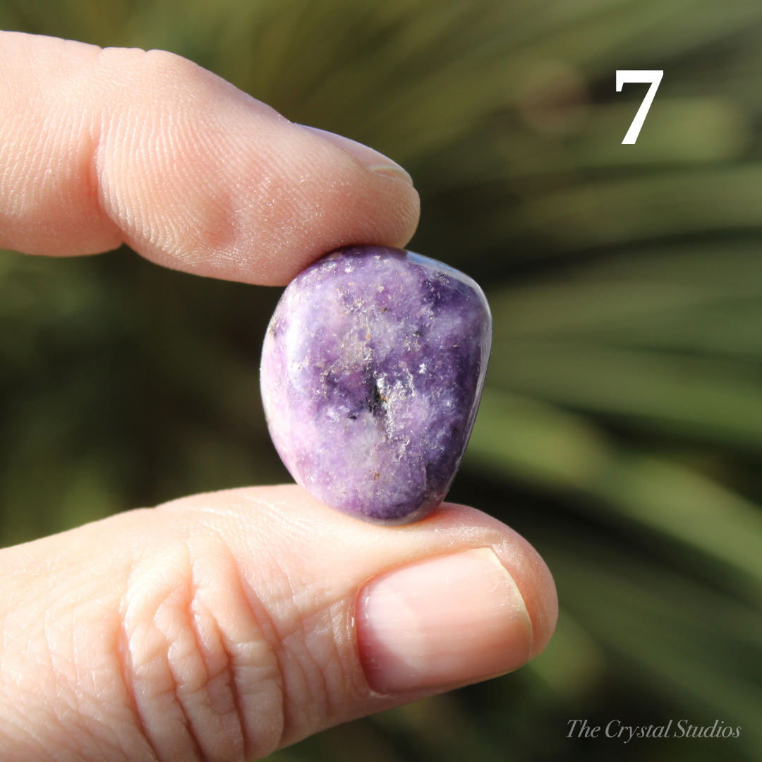 Lepidolite Polished Crystal Tumblestones