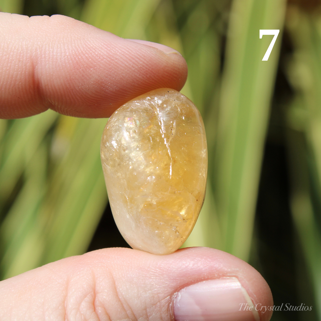 Citrine (Heat Treated) Large Polished Crystal Tumblestones