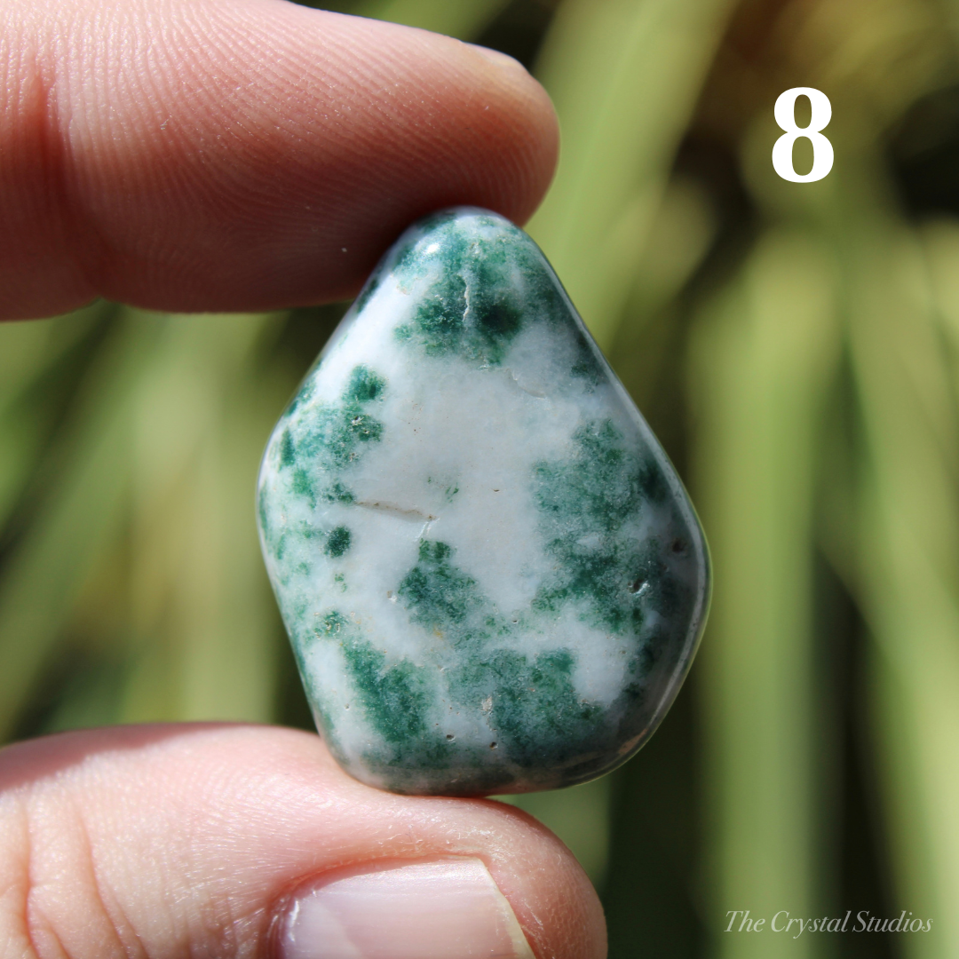 Tree Agate Polished Crystal Tumblestones