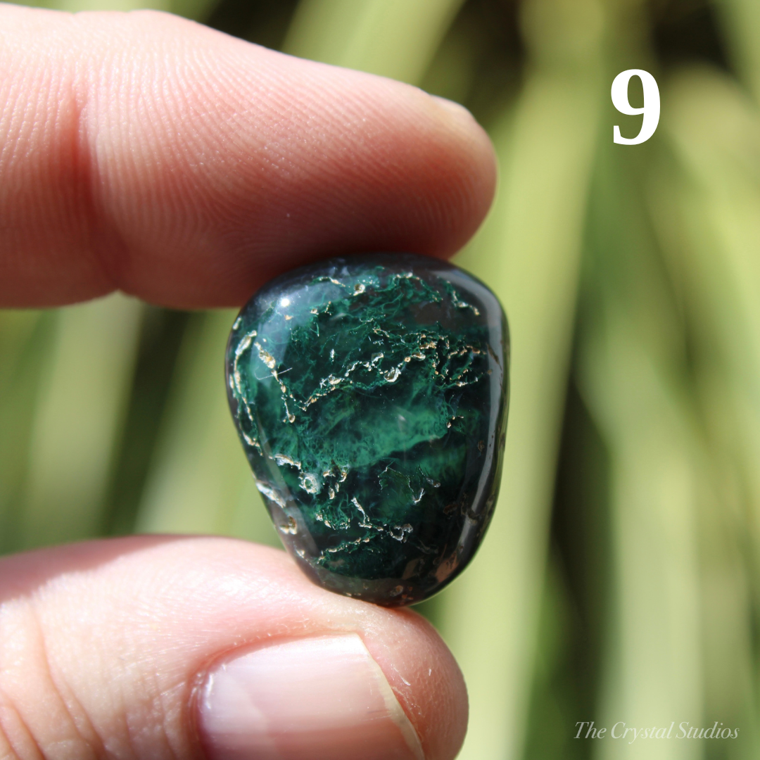 Moss Agate Polished Crystal Tumblestones