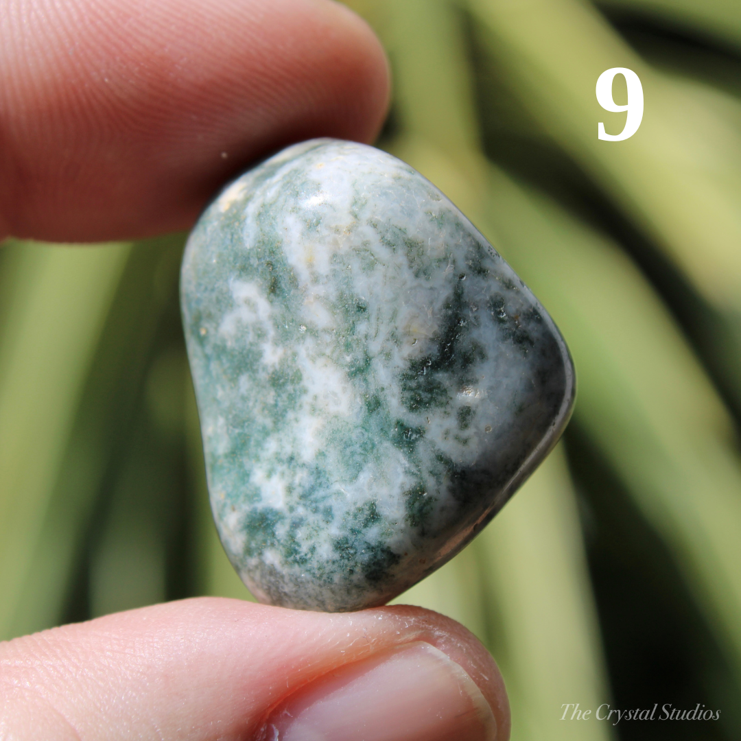 Tree Agate Polished Crystal Tumblestones