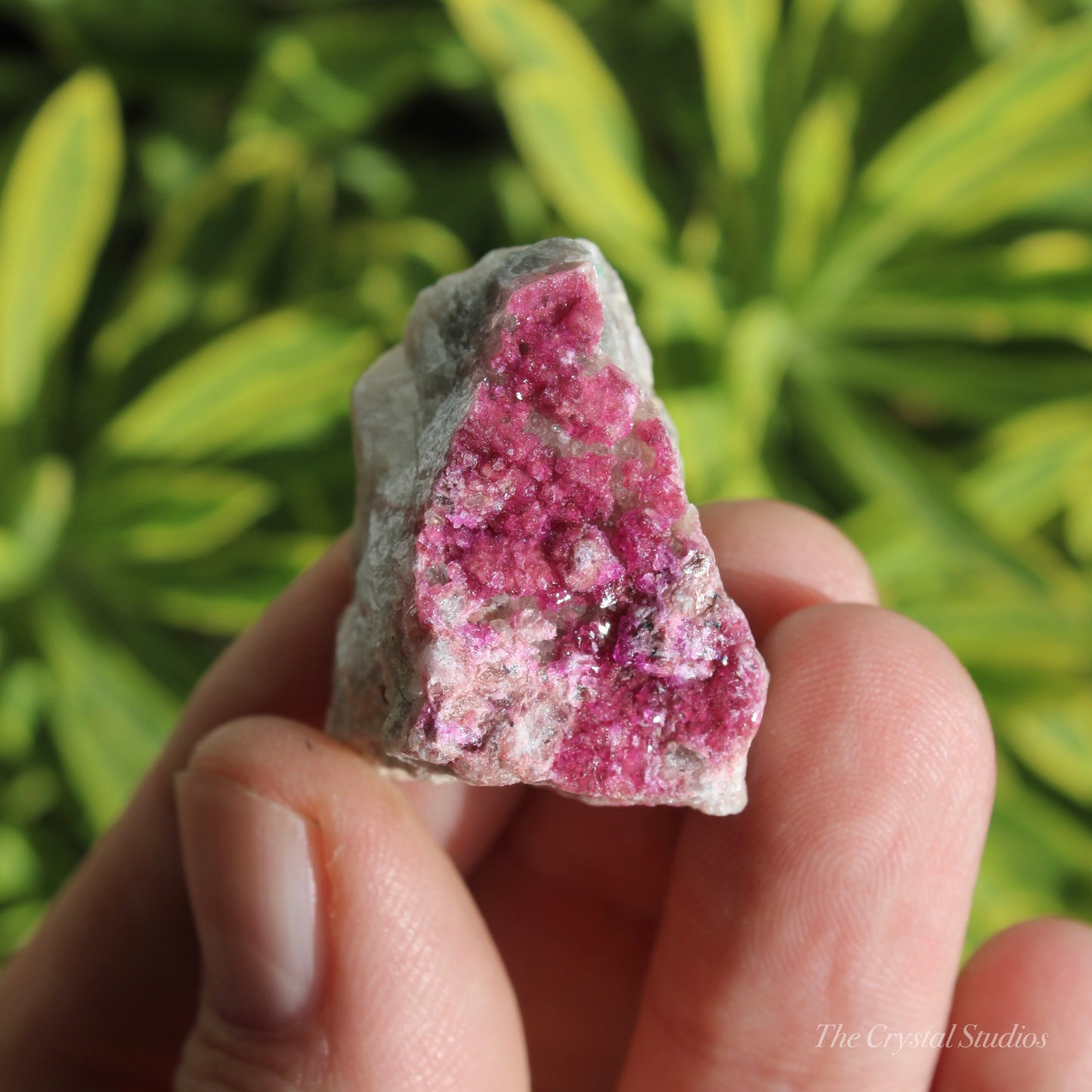 Cobaltoan Calcite Natural Crystal