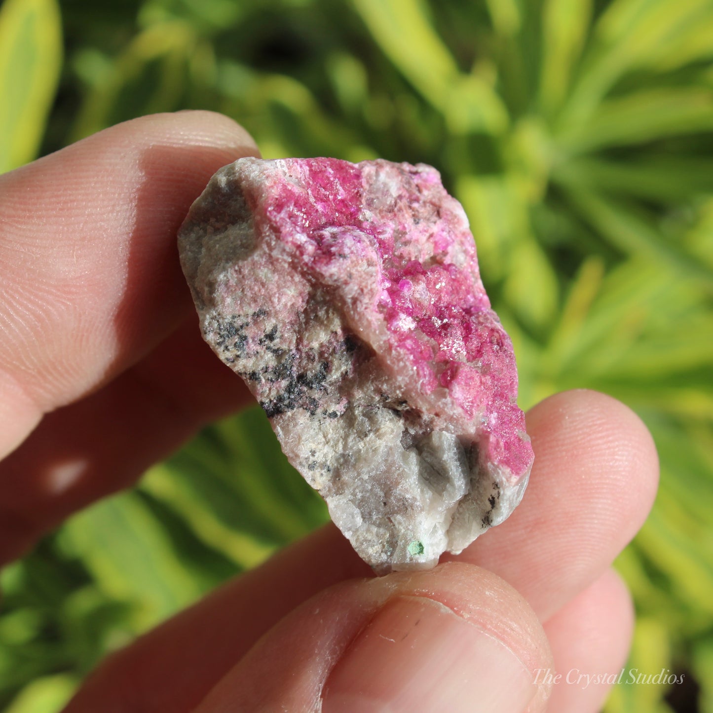 Cobaltoan Calcite Natural Crystal