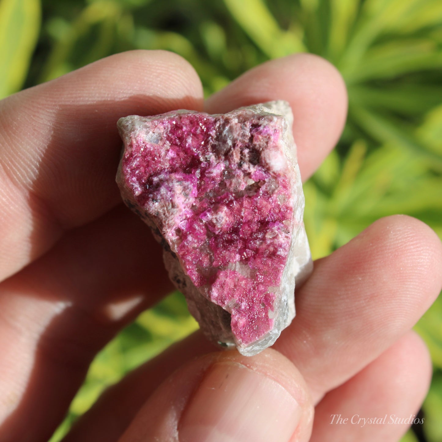 Cobaltoan Calcite Natural Crystal