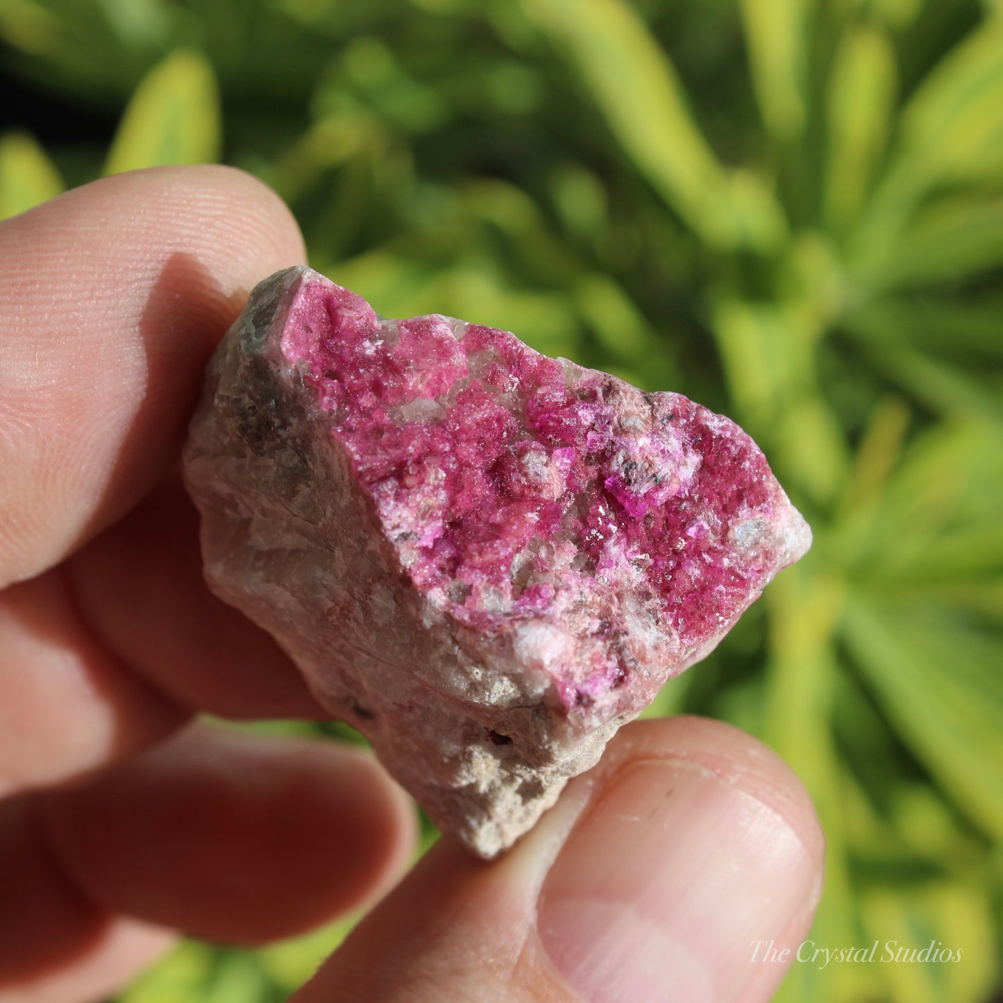 Cobaltoan Calcite Natural Crystal