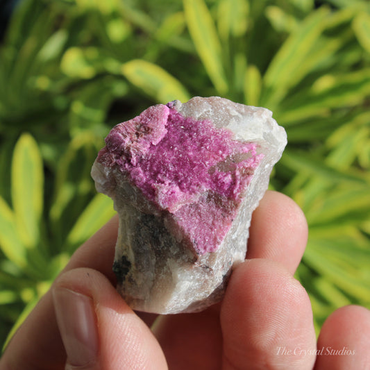 Cobaltoan Calcite Natural Crystal