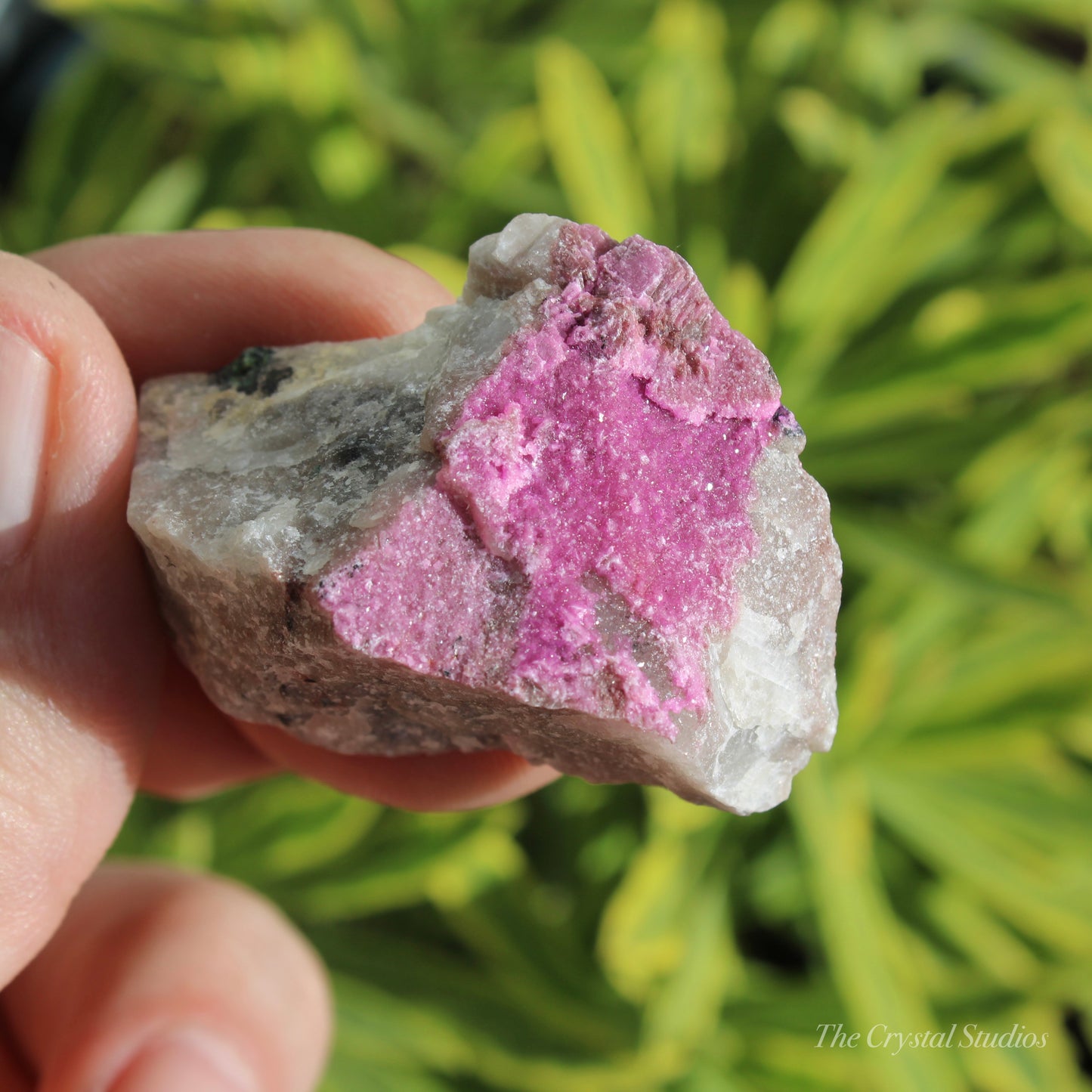 Cobaltoan Calcite Natural Crystal