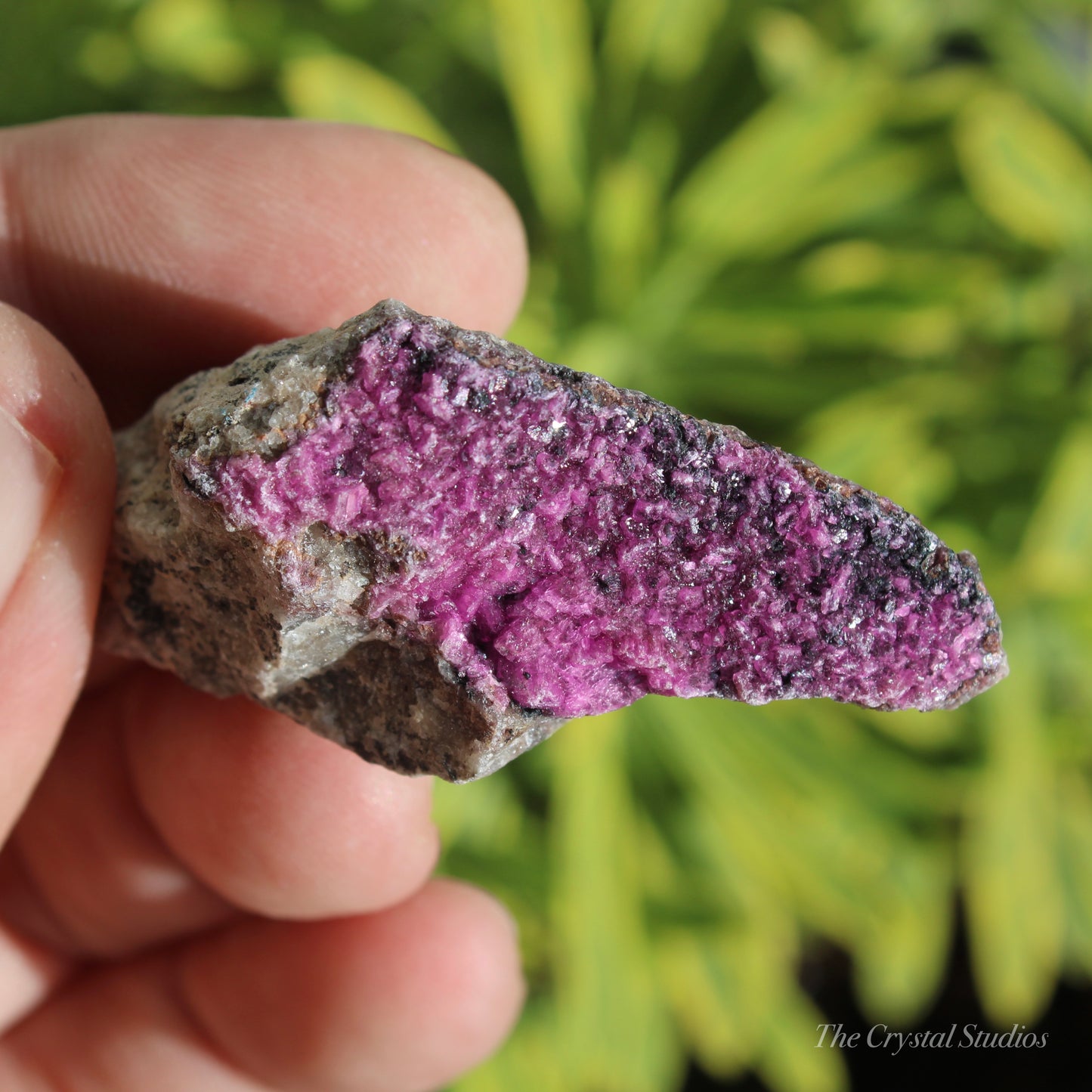 Cobaltoan Calcite Natural Crystal