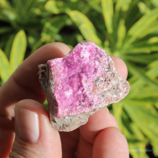 Cobaltoan Calcite Natural Crystal