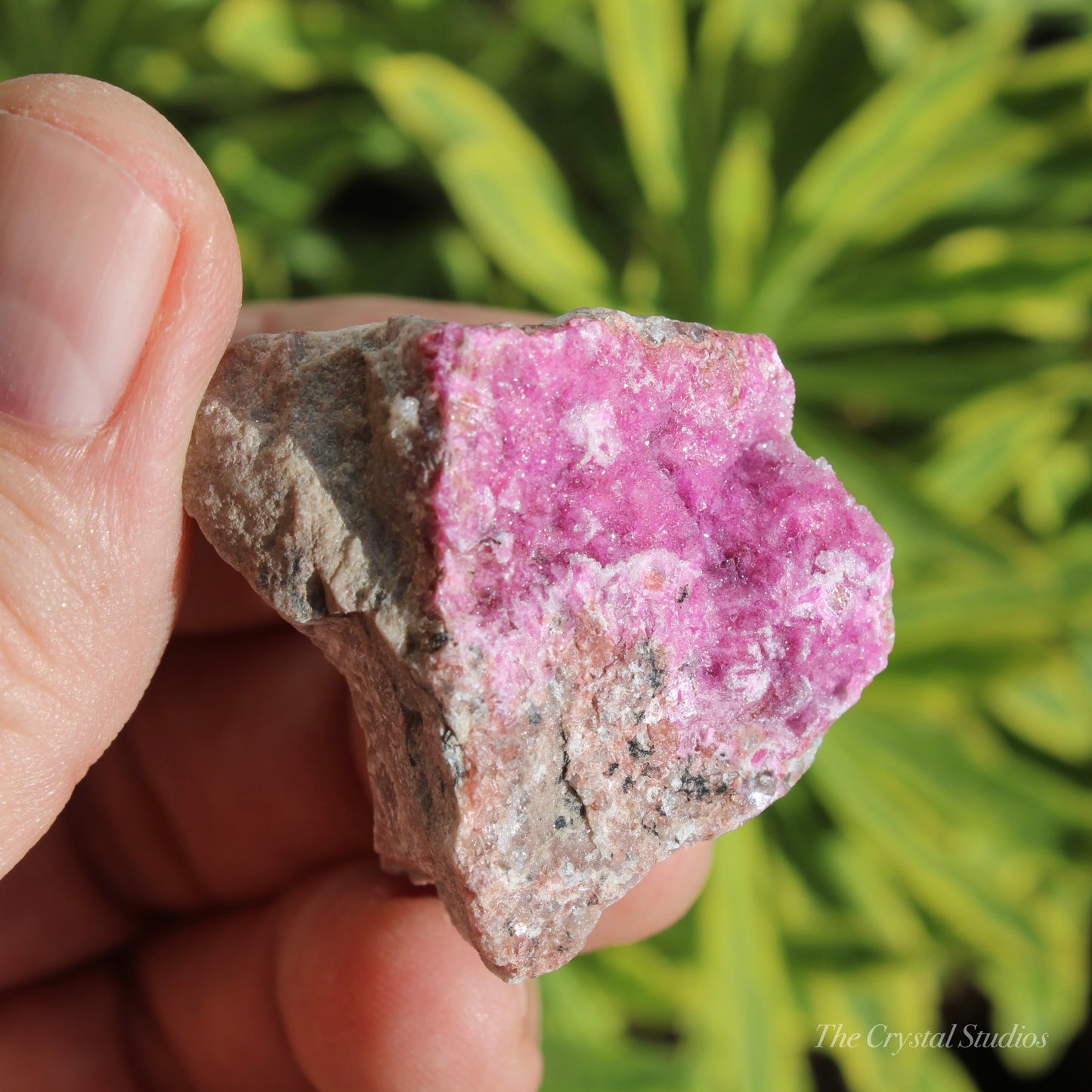 Cobaltoan Calcite Natural Crystal