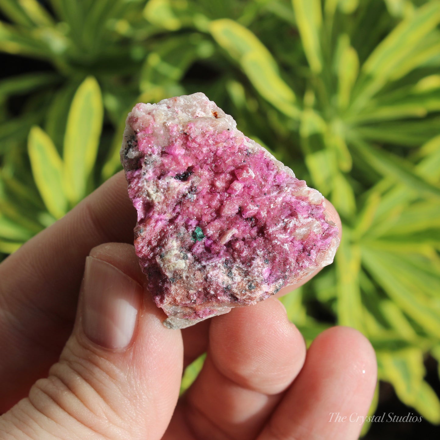 Cobaltoan Calcite Natural Crystal