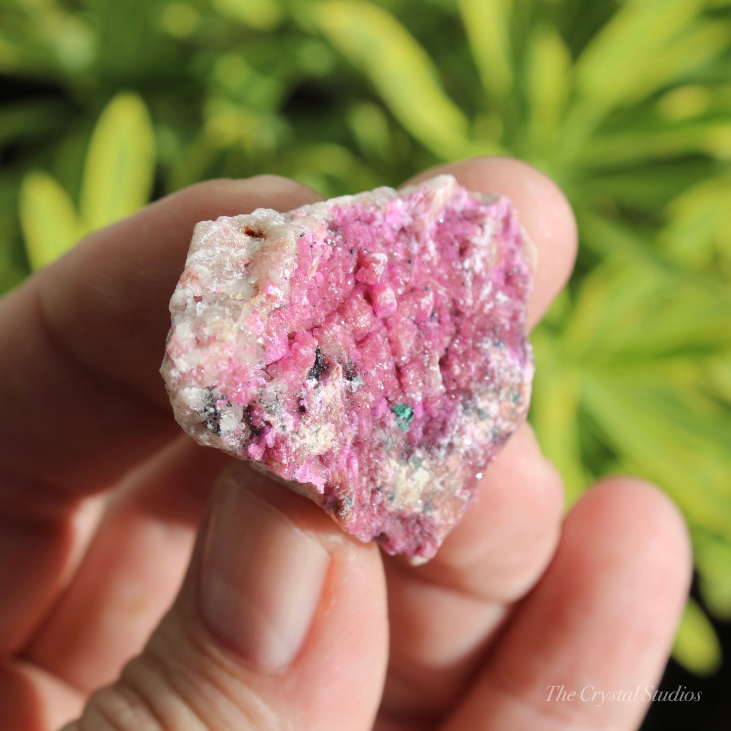 Cobaltoan Calcite Natural Crystal