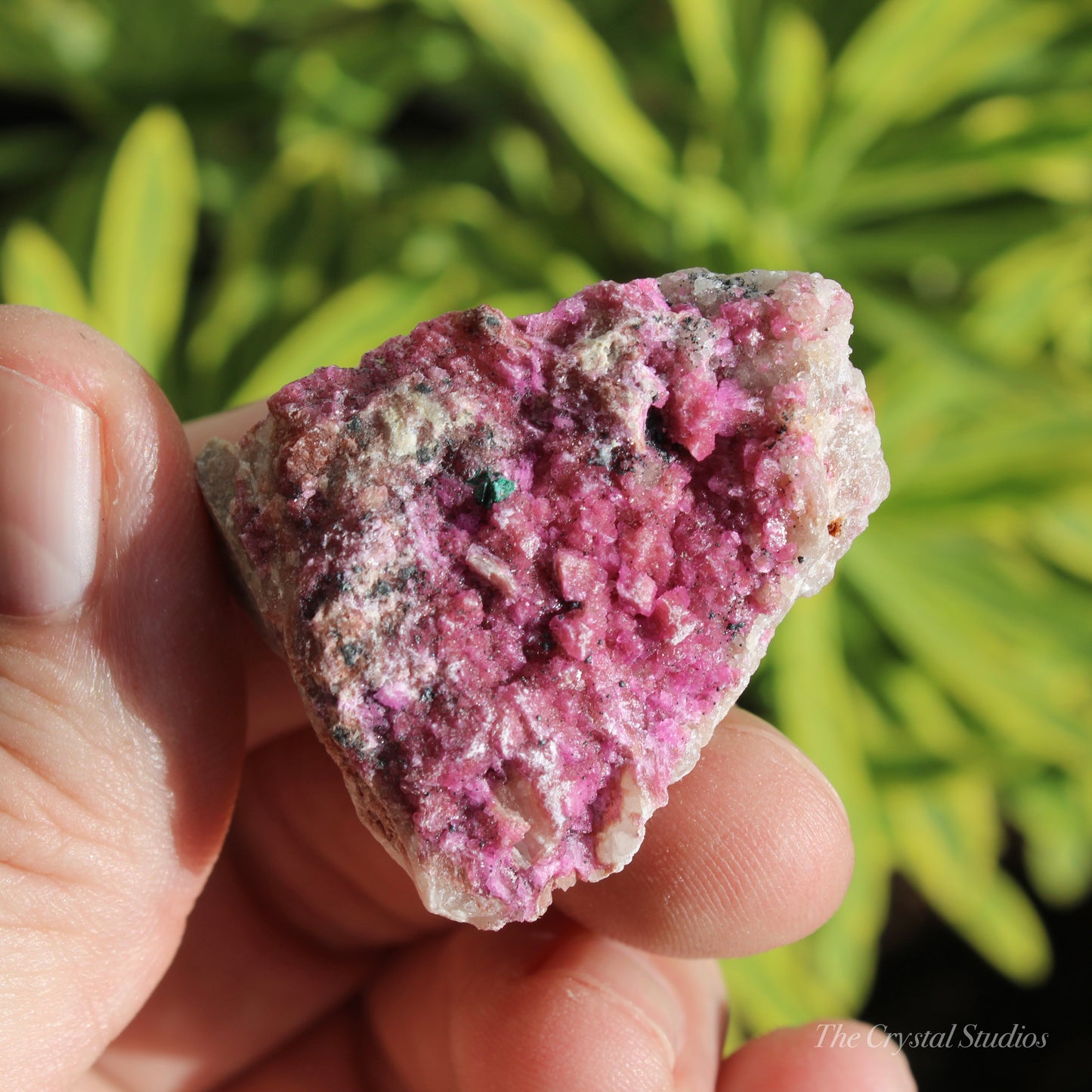 Cobaltoan Calcite Natural Crystal