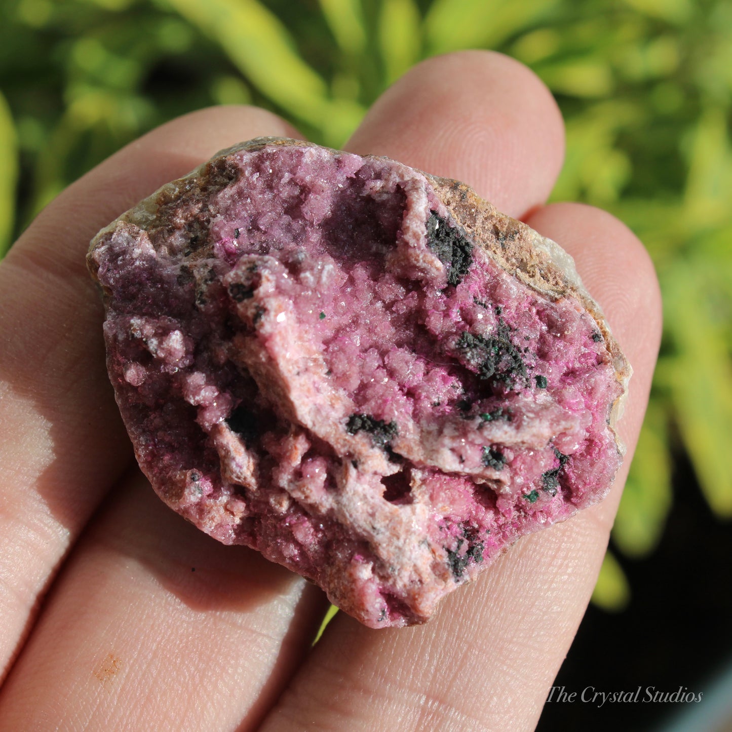 Cobaltoan Calcite Natural Crystal