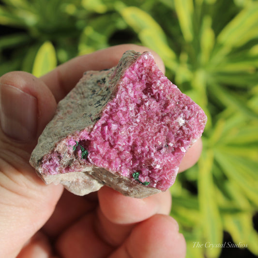 Cobaltoan Calcite Natural Crystal