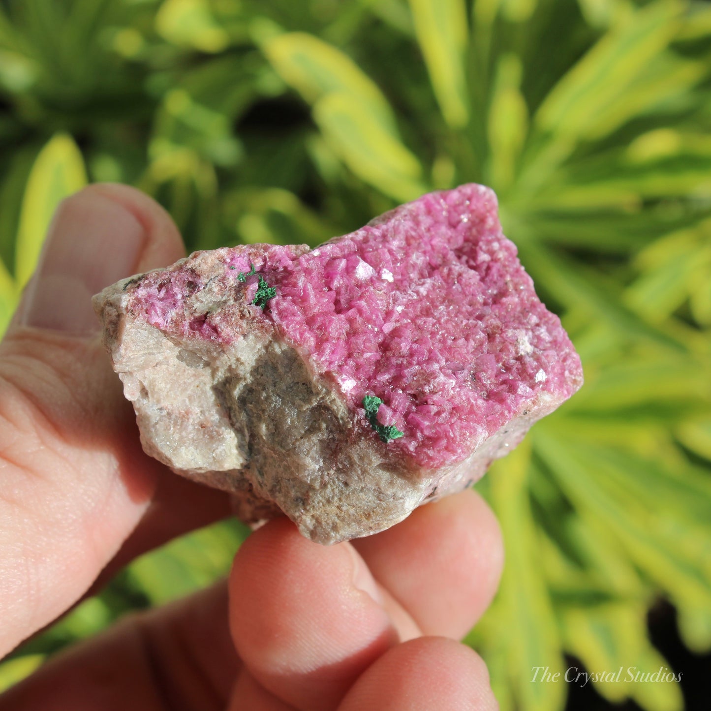 Cobaltoan Calcite Natural Crystal