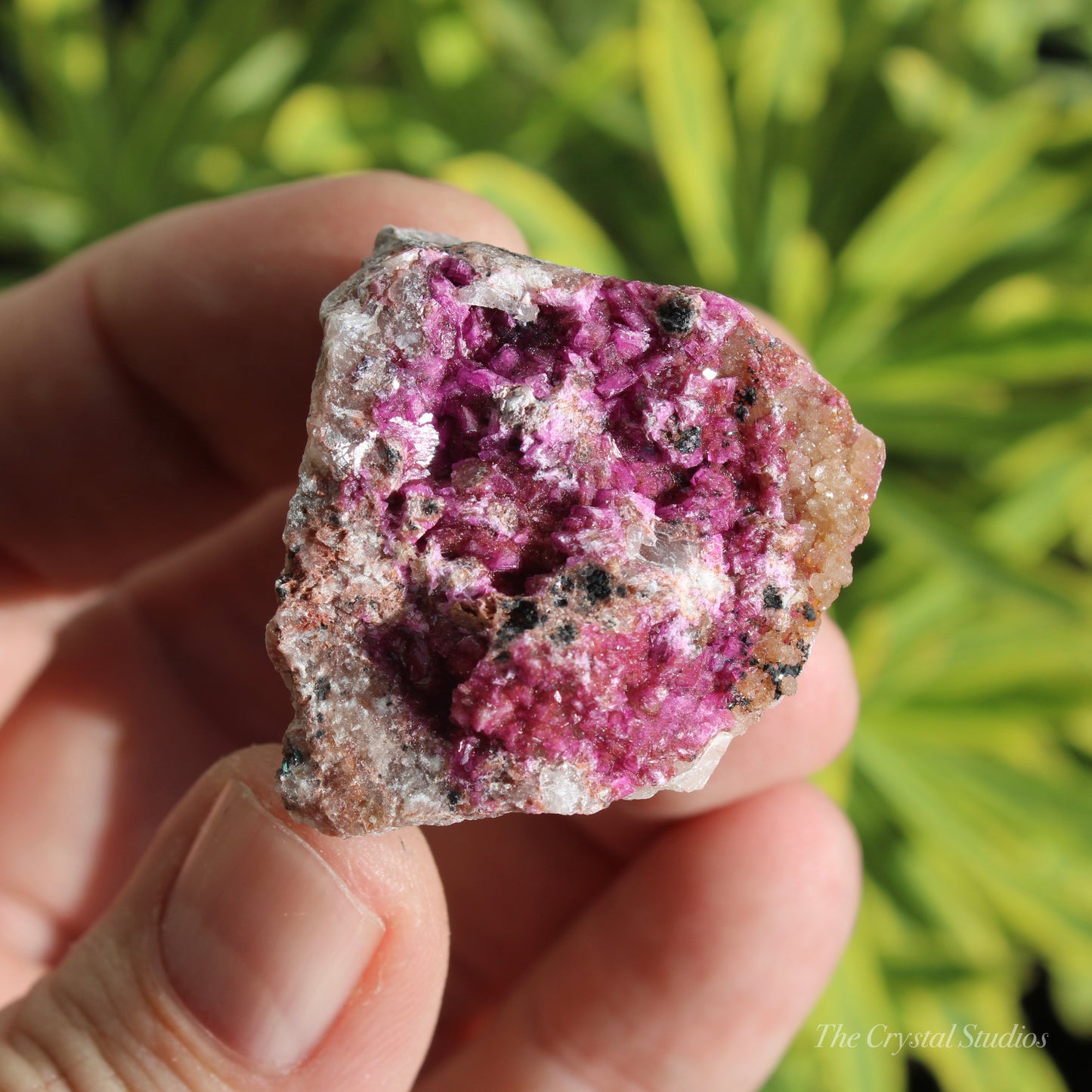 Cobaltoan Calcite Natural Crystal