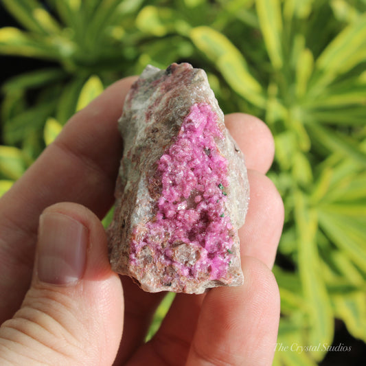 Cobaltoan Calcite Natural Crystal