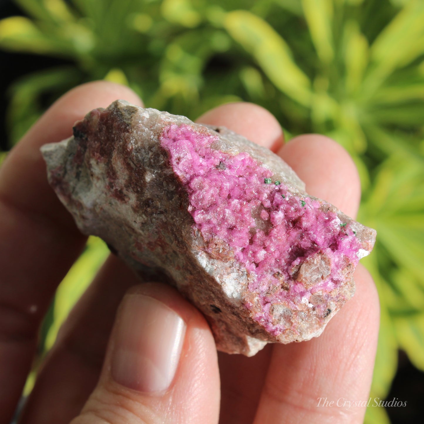 Cobaltoan Calcite Natural Crystal