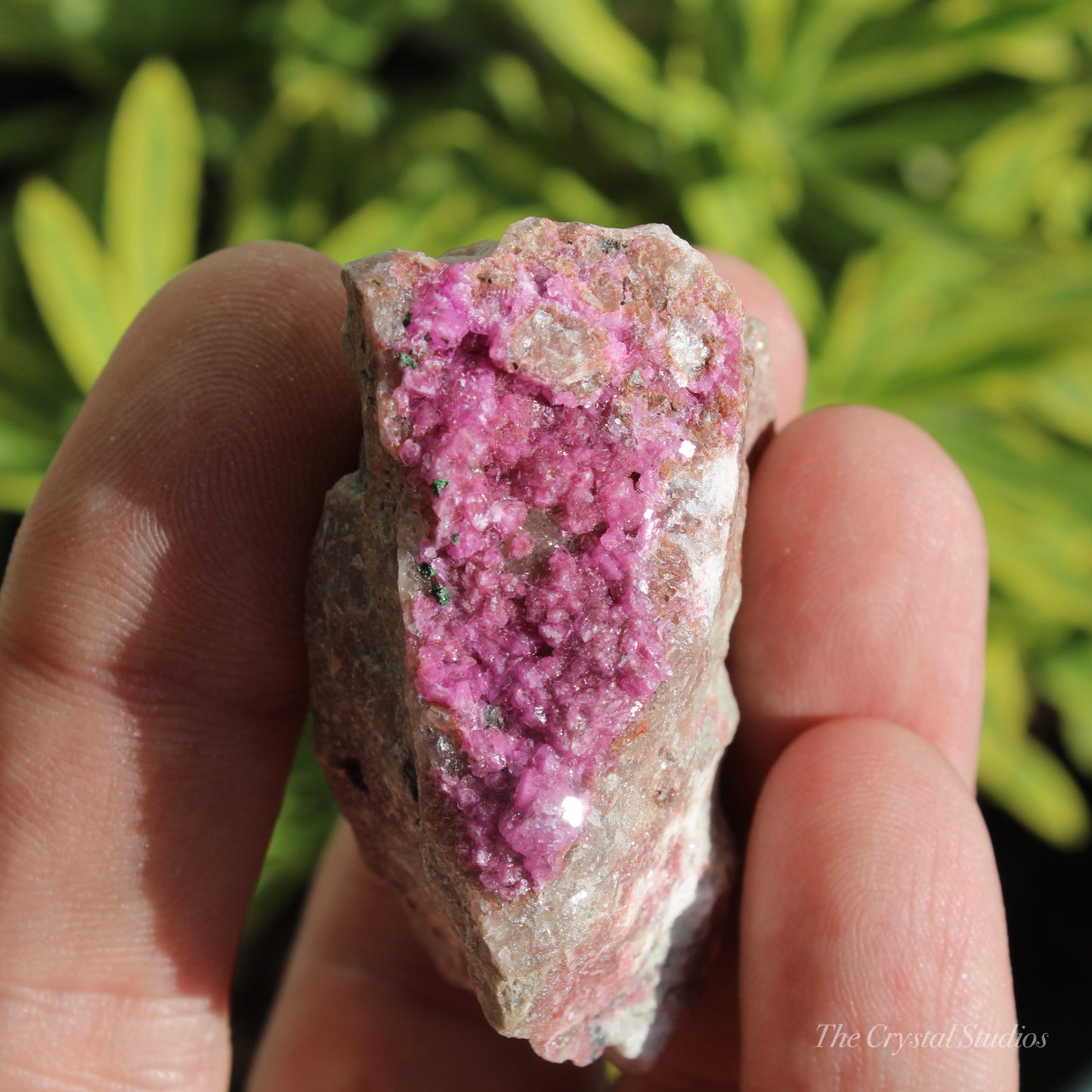 Cobaltoan Calcite Natural Crystal