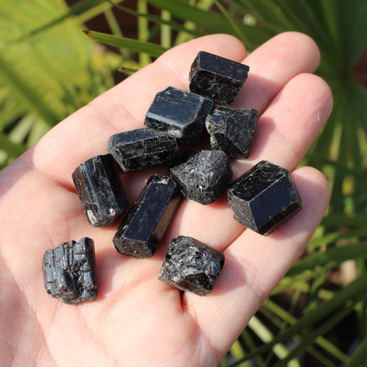 Black Tourmaline Natural Crystal