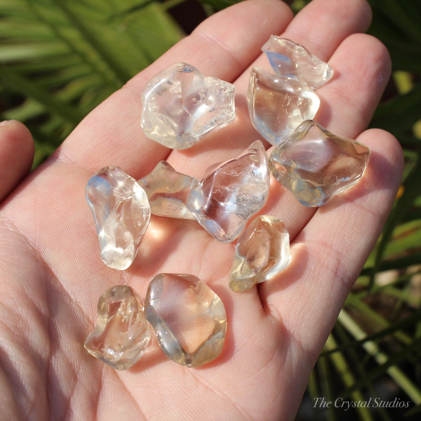 Natural Citrine Lightly Tumbled Crystal Set