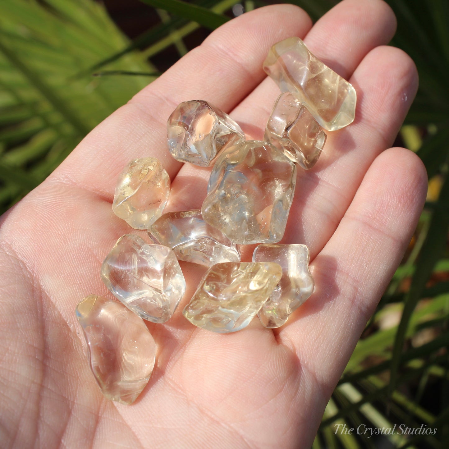 Natural Citrine Lightly Tumbled Crystal Set