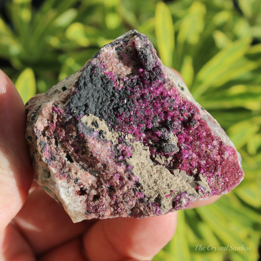 Cobaltoan Calcite Natural Crystal