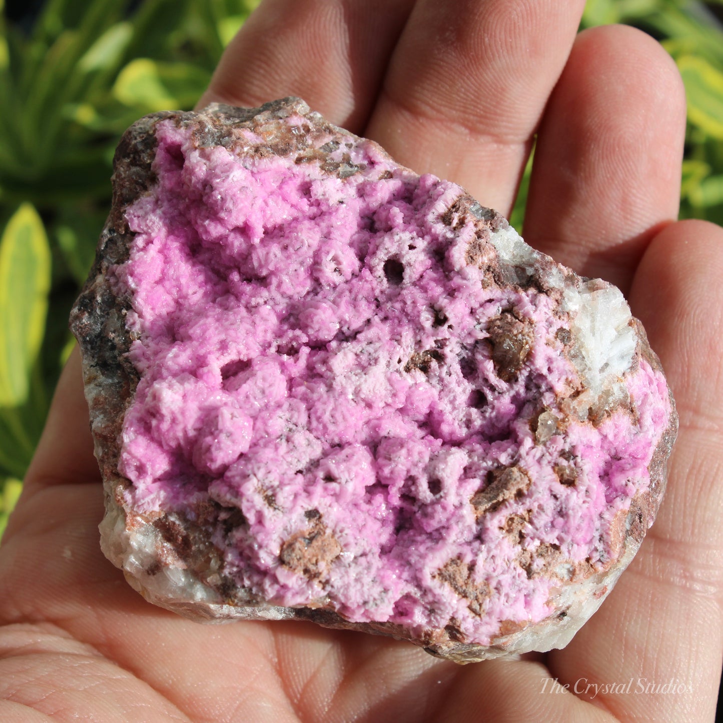 Cobaltoan Calcite Natural Crystal