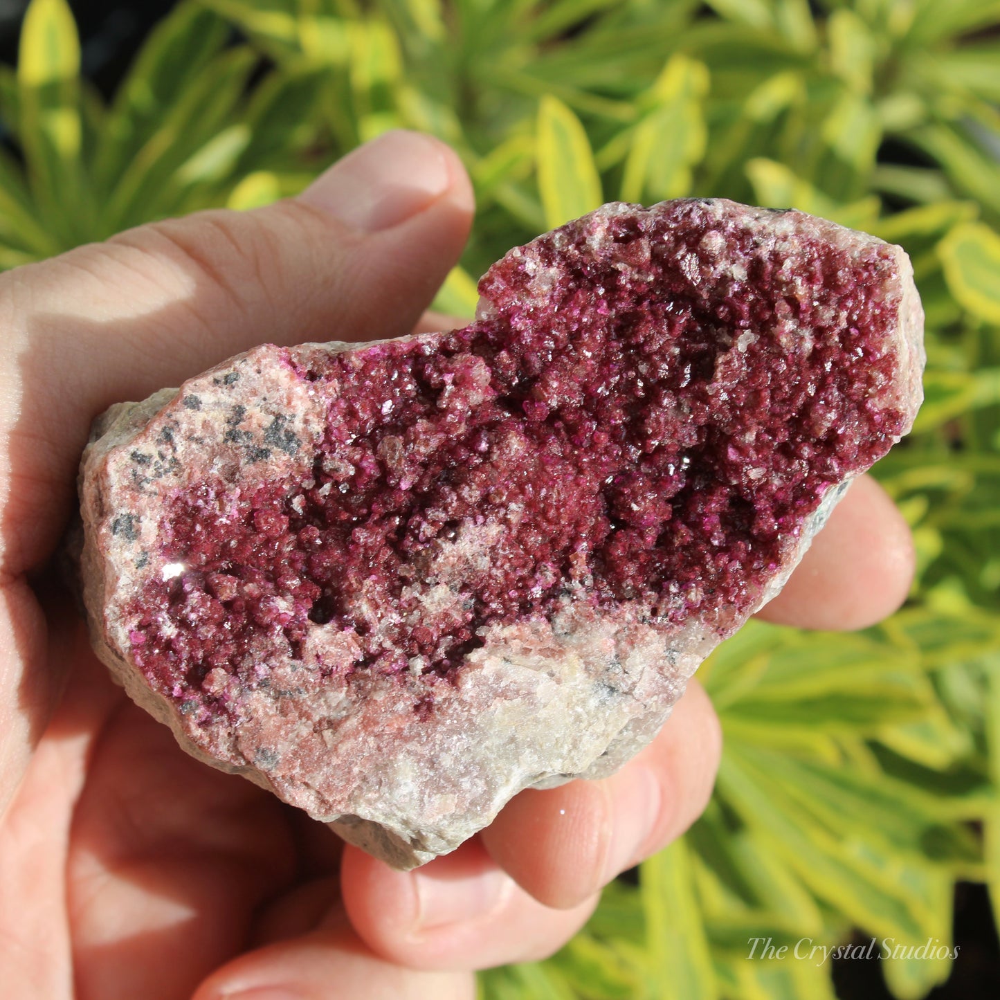 Cobaltoan Calcite Natural Crystal