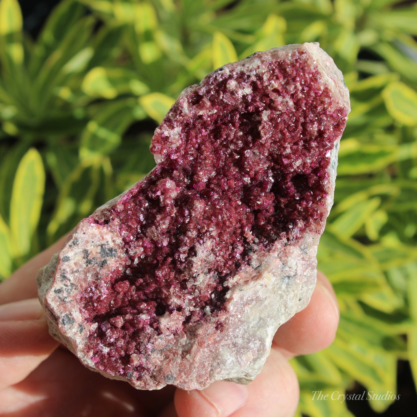 Cobaltoan Calcite Natural Crystal