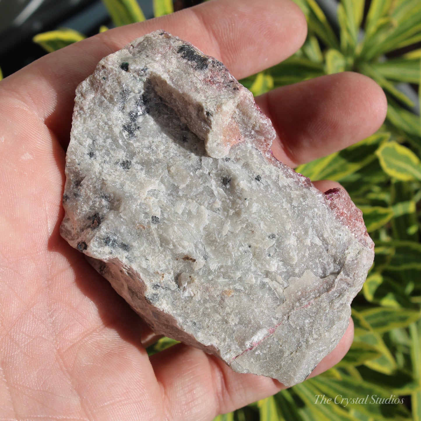 Cobaltoan Calcite Natural Crystal