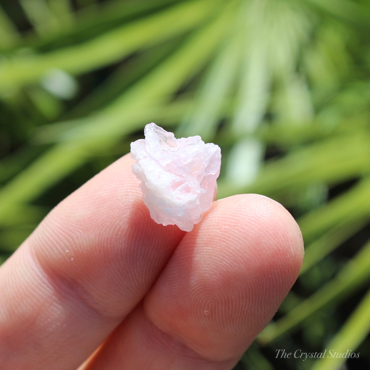 Rose Quartz Crystallised Natural Crystal