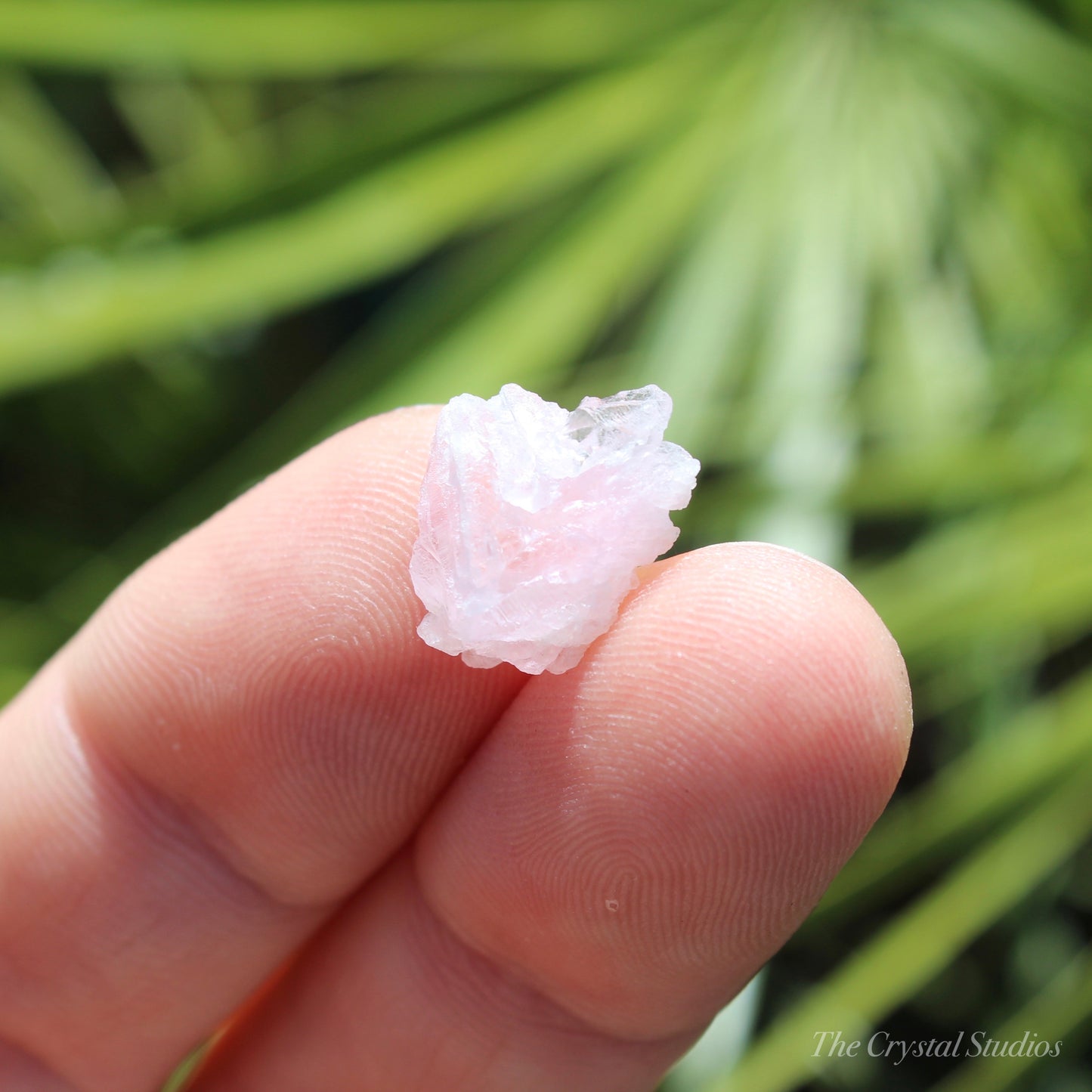 Rose Quartz Crystallised Natural Crystal