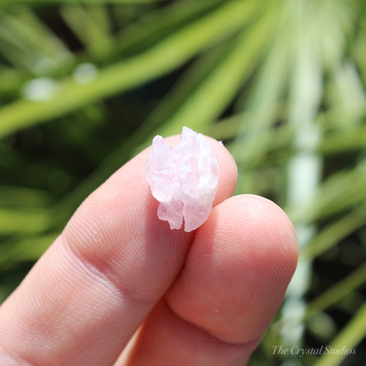 Rose Quartz Crystallised Natural Crystal