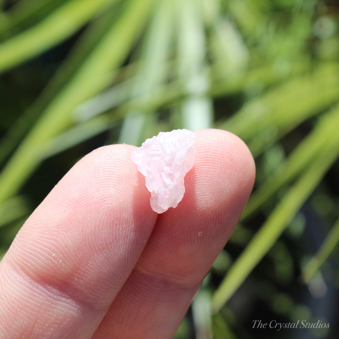 Rose Quartz Crystallised Natural Crystal