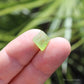 Peridot Natural Terminated Crystal