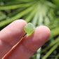 Peridot Natural Terminated Crystal