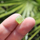 Peridot Natural Terminated Crystal