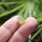 Peridot Natural Terminated Crystal