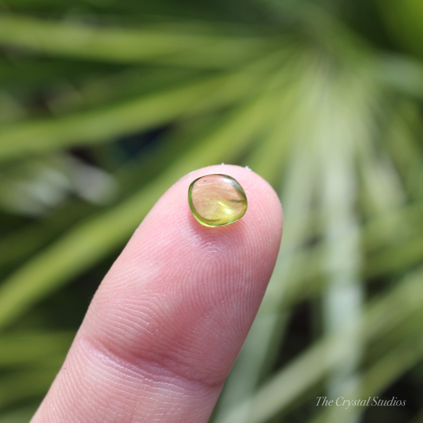 Peridot Mini Polished Crystal Tumblestone