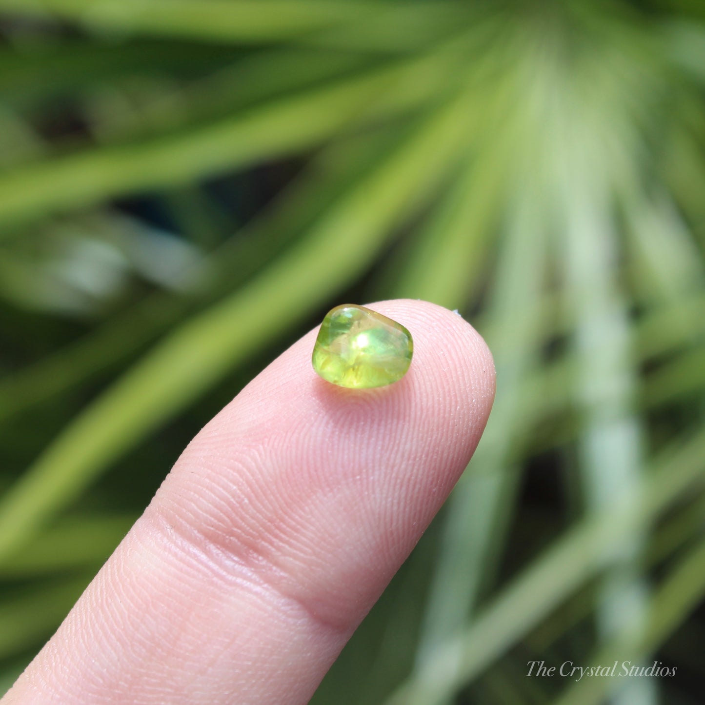 Peridot Mini Polished Crystal Tumblestone