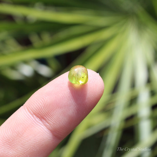 Peridot Mini Polished Crystal Tumblestone