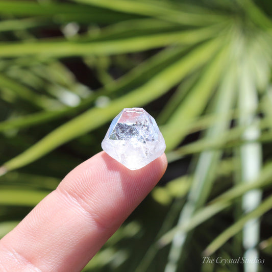 Apophyllite Small Natural Crystal Pyramid/Tip