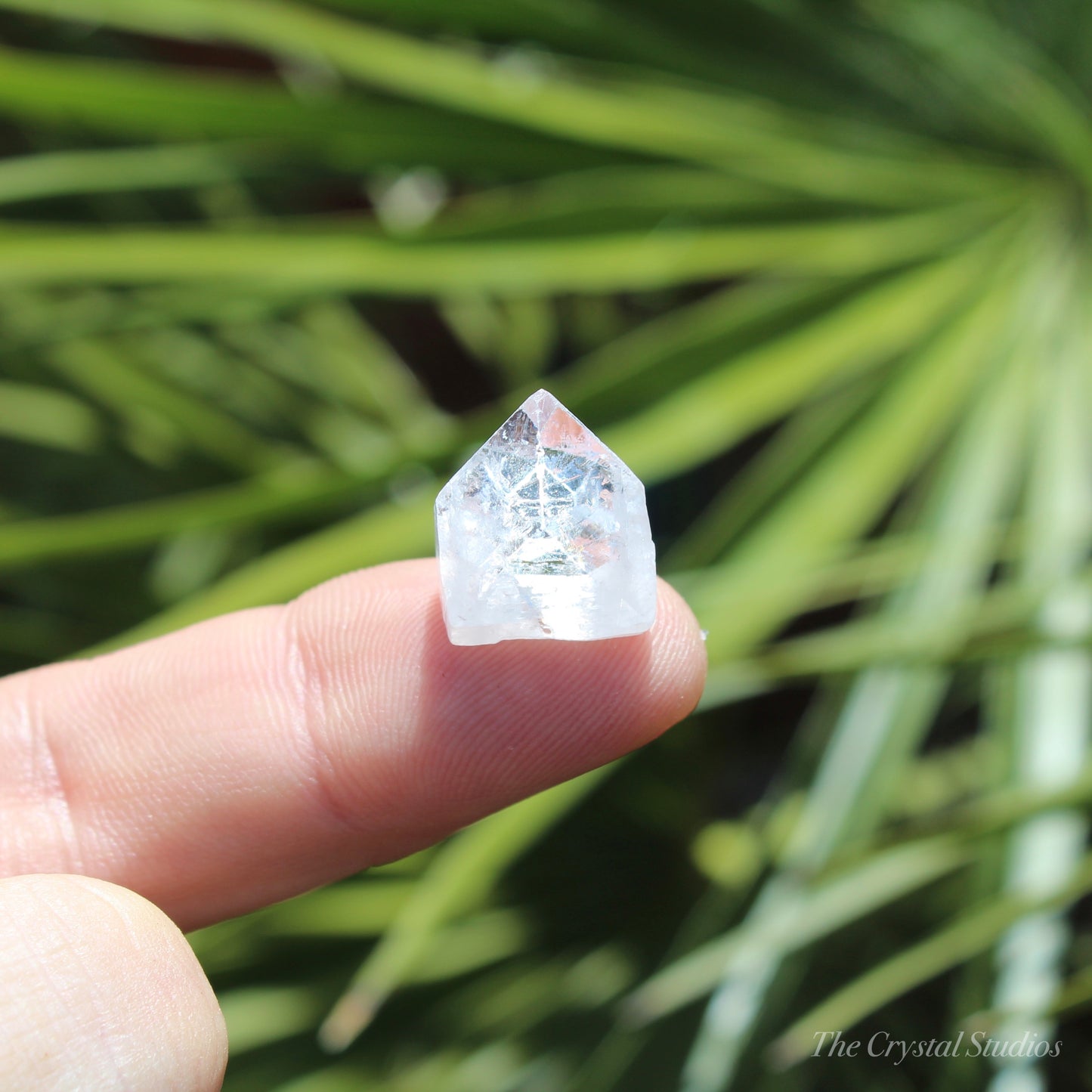 Apophyllite Small Natural Crystal Pyramid/Tip