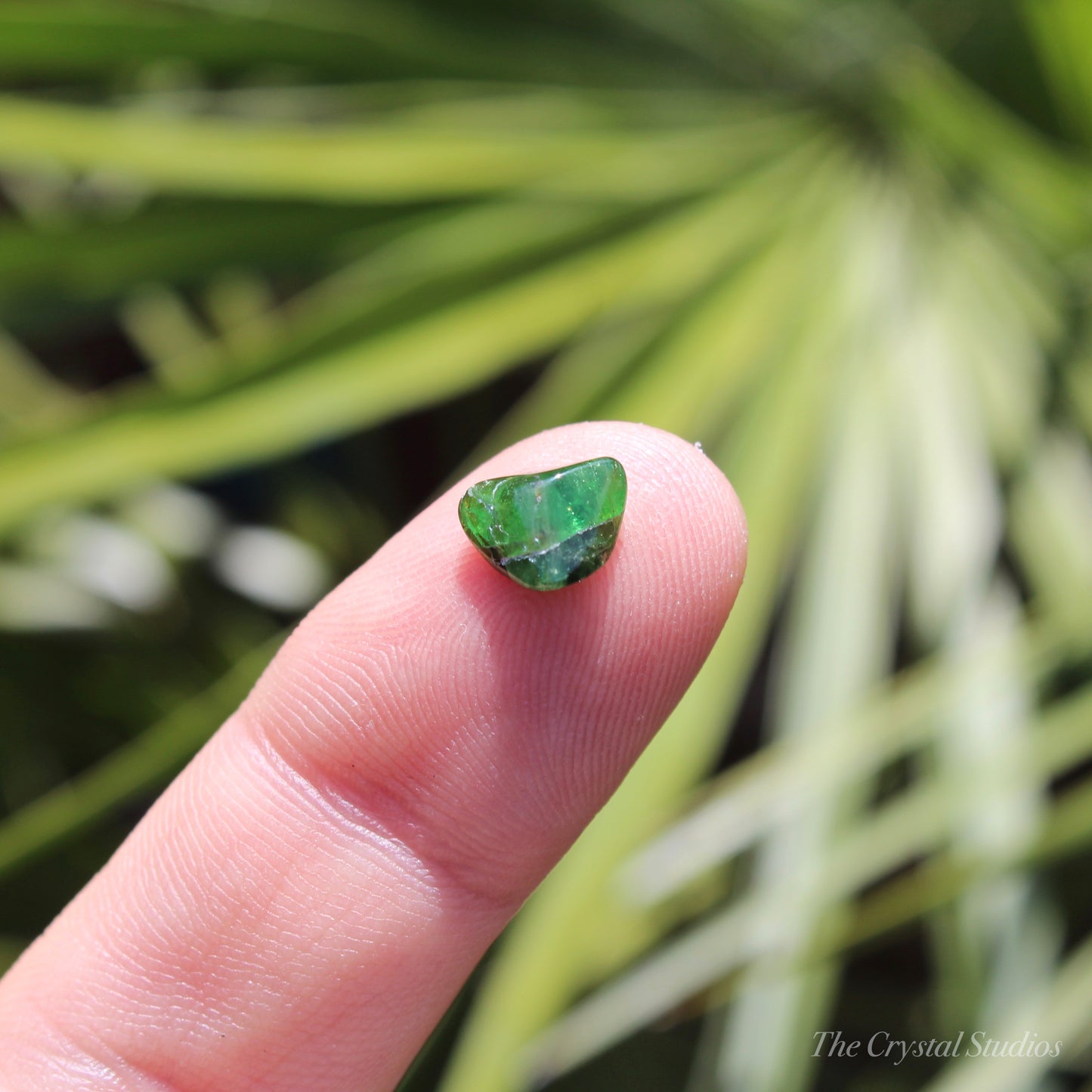 Tsavorite Garnet Mini Polished Crystal Tumblestone