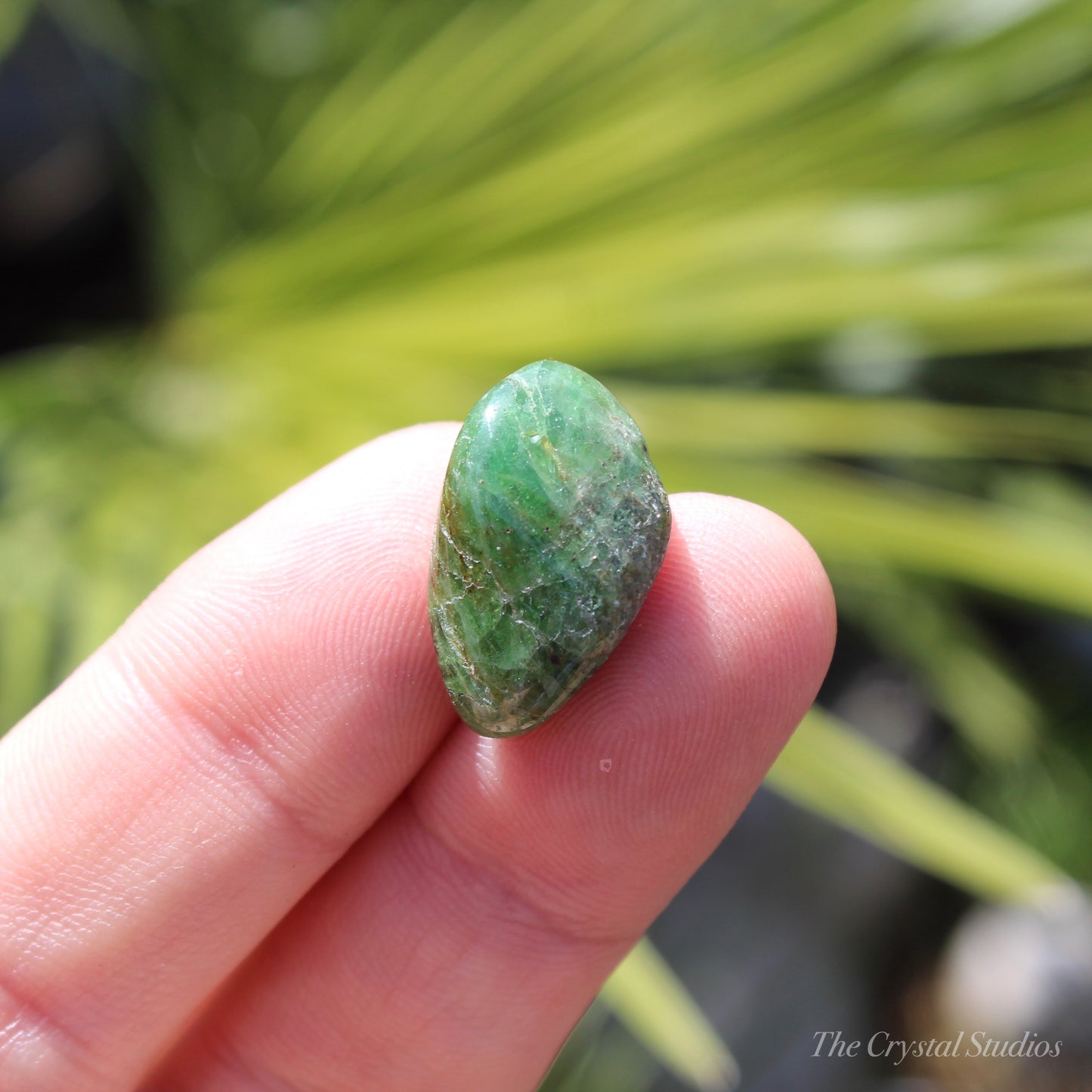 Tsavorite Garnet Medium Polished Crystal Tumblestone