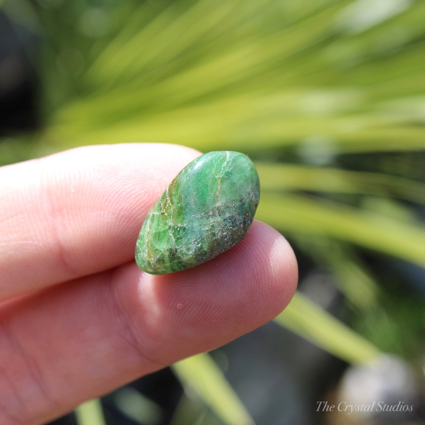 Tsavorite Garnet Medium Polished Crystal Tumblestone