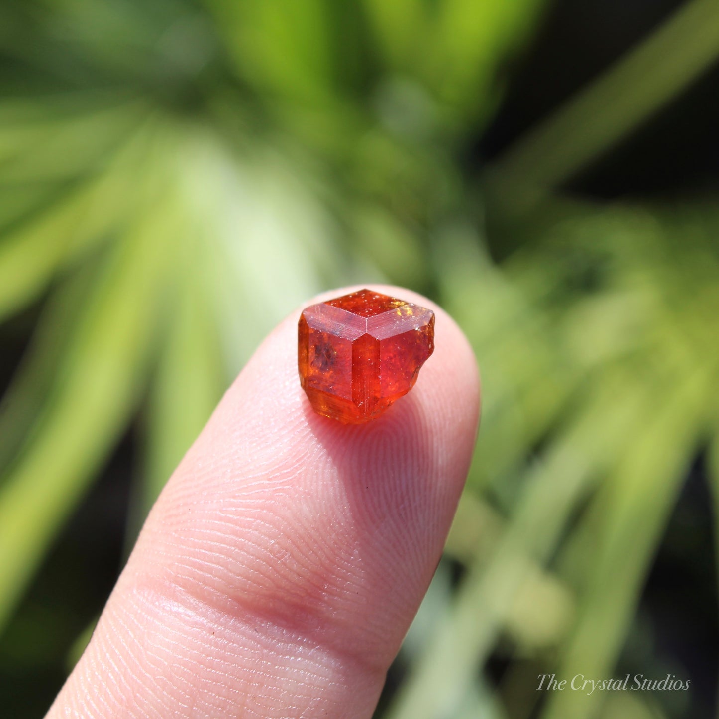 Spessartine Garnet Natural Crystal Gem