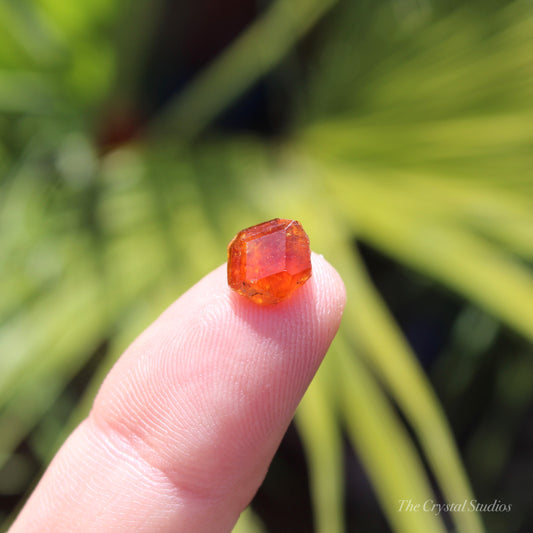 Spessartine Garnet Natural Crystal Gem